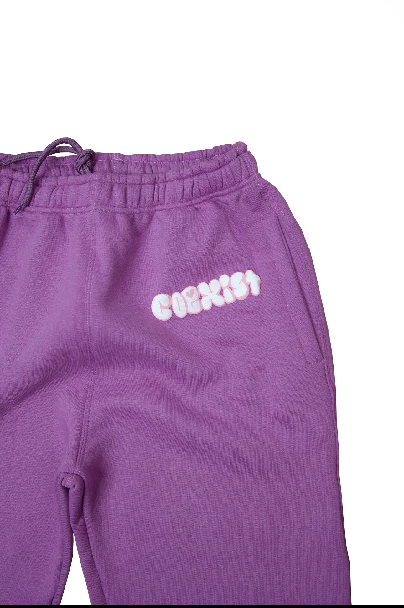 Coexist Purple Sweatpants